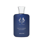 Spectra 395 DAY IN TOWN EXCLUSIVE Eau de Parfum For Men – 125ml